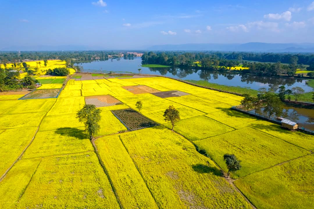 India Aesthetica tweet media