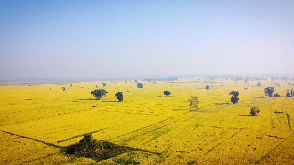 India Aesthetica tweet media