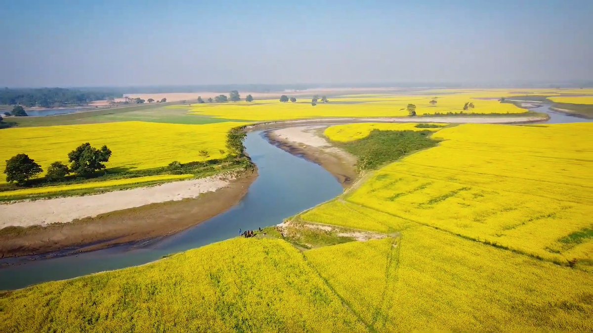 India Aesthetica tweet media