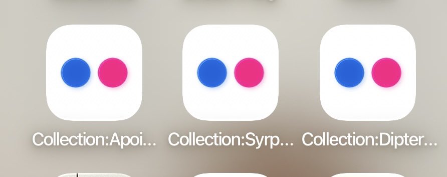 Paul Cashmore tweet media