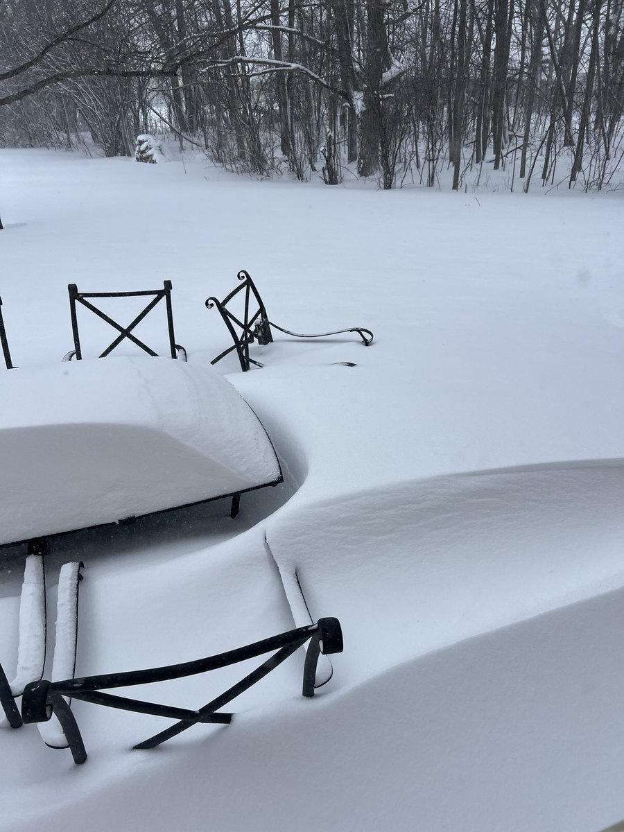 Non #sheeplerankings tweet media