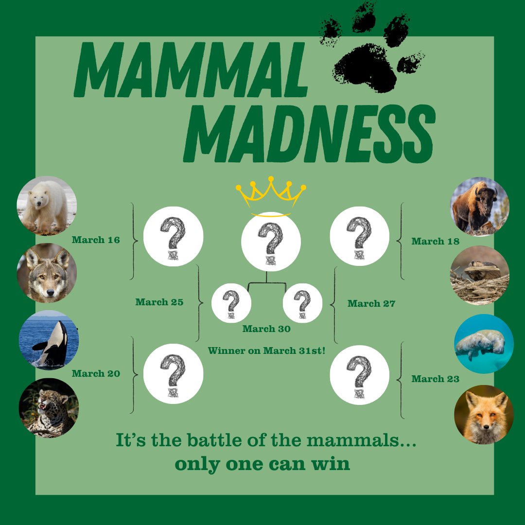 Defenders of Wildlife tweet media