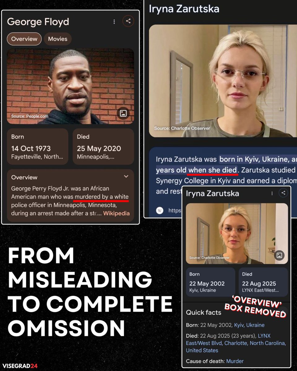 Visegrád 24 tweet media