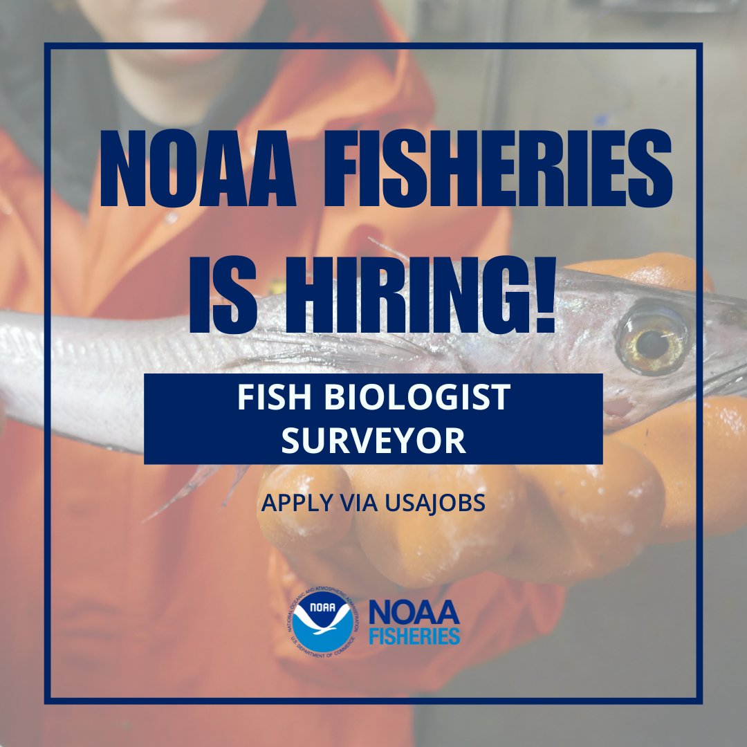 NOAA Fisheries tweet media