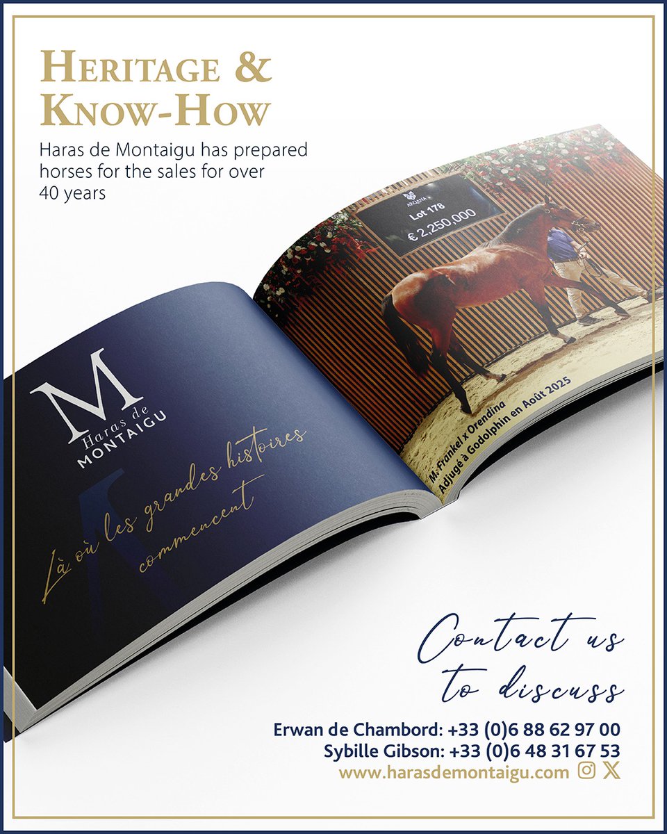 Haras de Montaigu tweet media