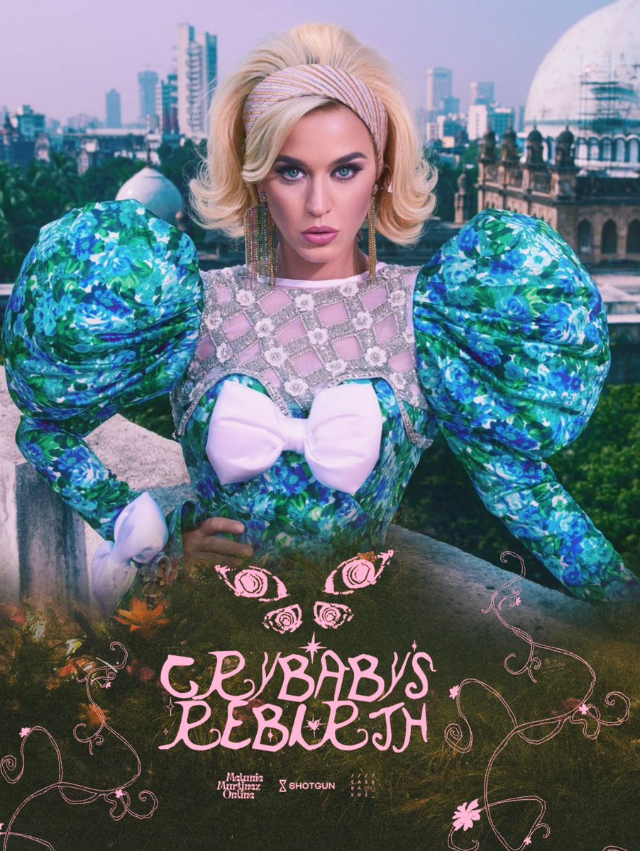 KatyCats Updates tweet media