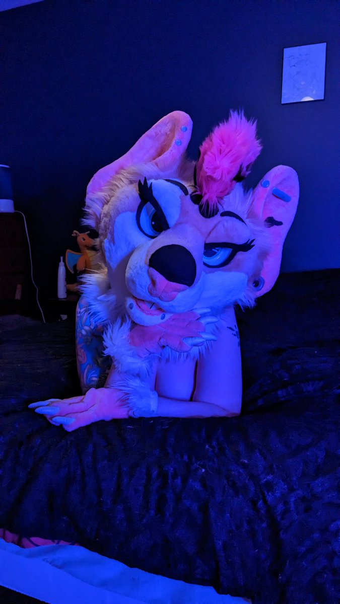 🔞🐀Viper Rat🐀🔞(They/Them) 🔜 TFF 2026 tweet media