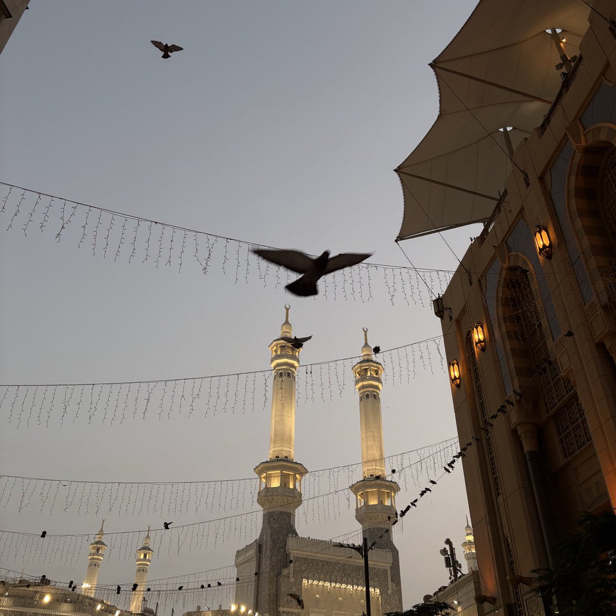 Bushra | بُشرى tweet media