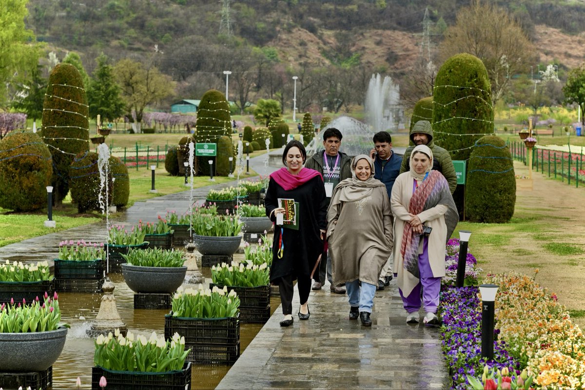 Saba Reshi tweet media