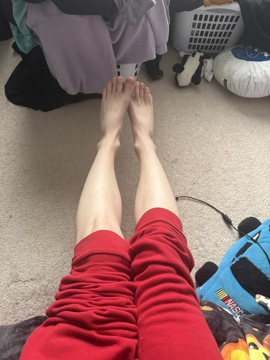 evansky33 tweet media