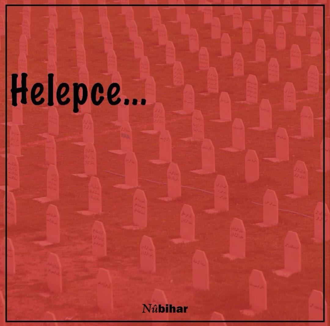 Nûbihar tweet media