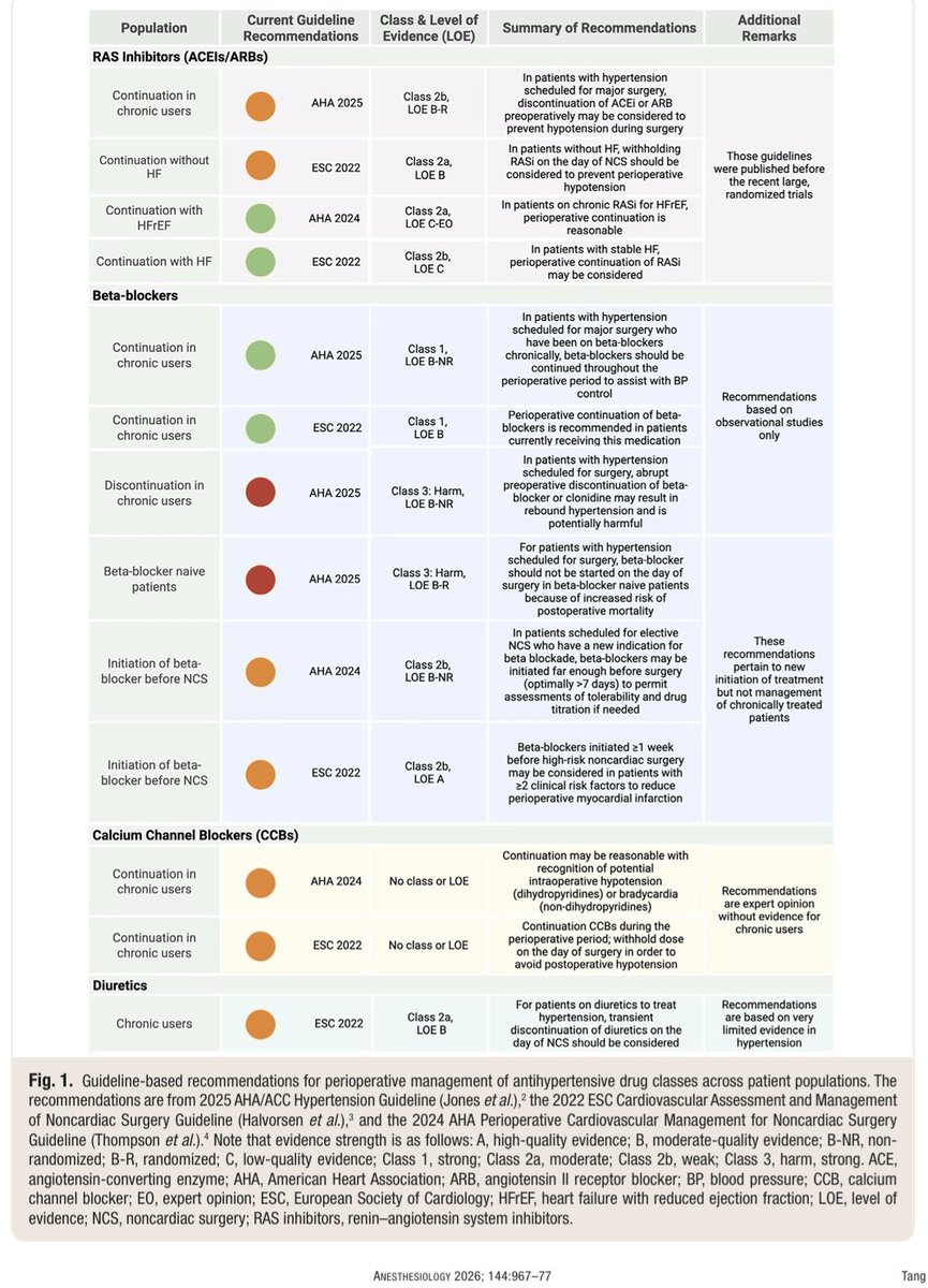 AnestesiologiaR's tweet photo. Manejo de medicamentos antihipertensivos crónicos en el período perioperatorio. 

Anesthesiology 2026; 144:967–77.

DOI: 10.1097/ALN.0000000000005884.

#anesthesiology #antihypertensive #perioperative #infarction #medicine #anestesia #presion #infarto https://t.co/7drduXgGhY