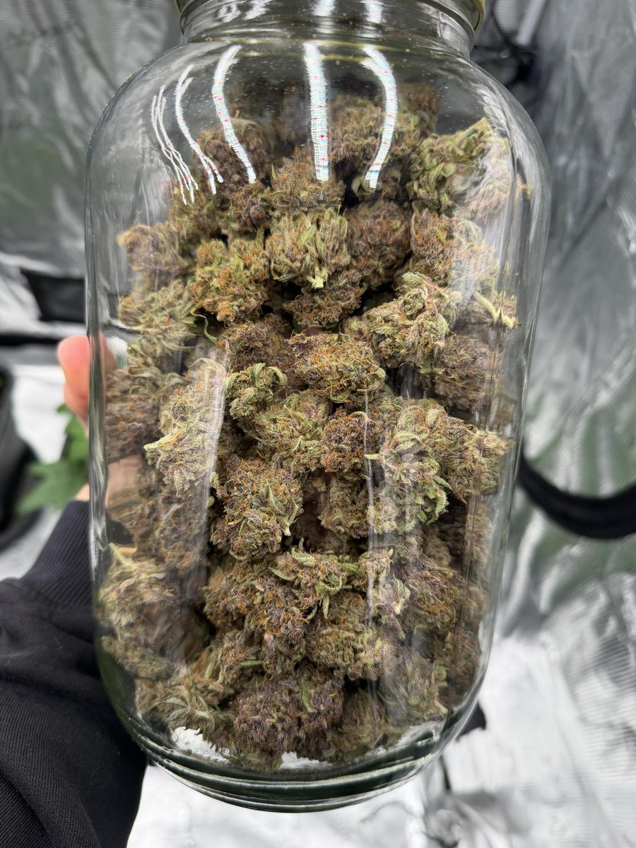 Fast Buds tweet media