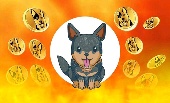 DROVER INU tweet media
