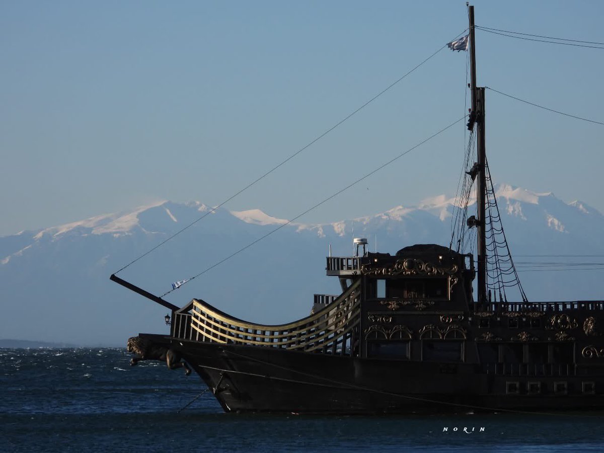 ignore 🦮🐕‍🦺 tweet media