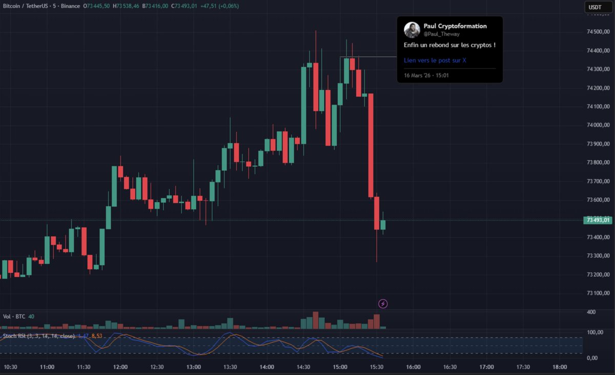 Frenchie tweet media