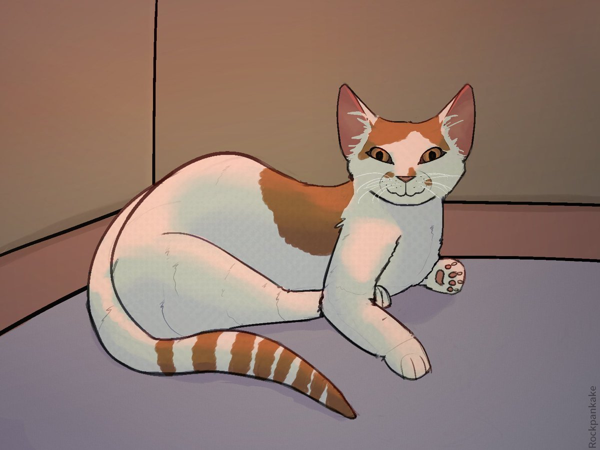 Rockpankake🔞 tweet media