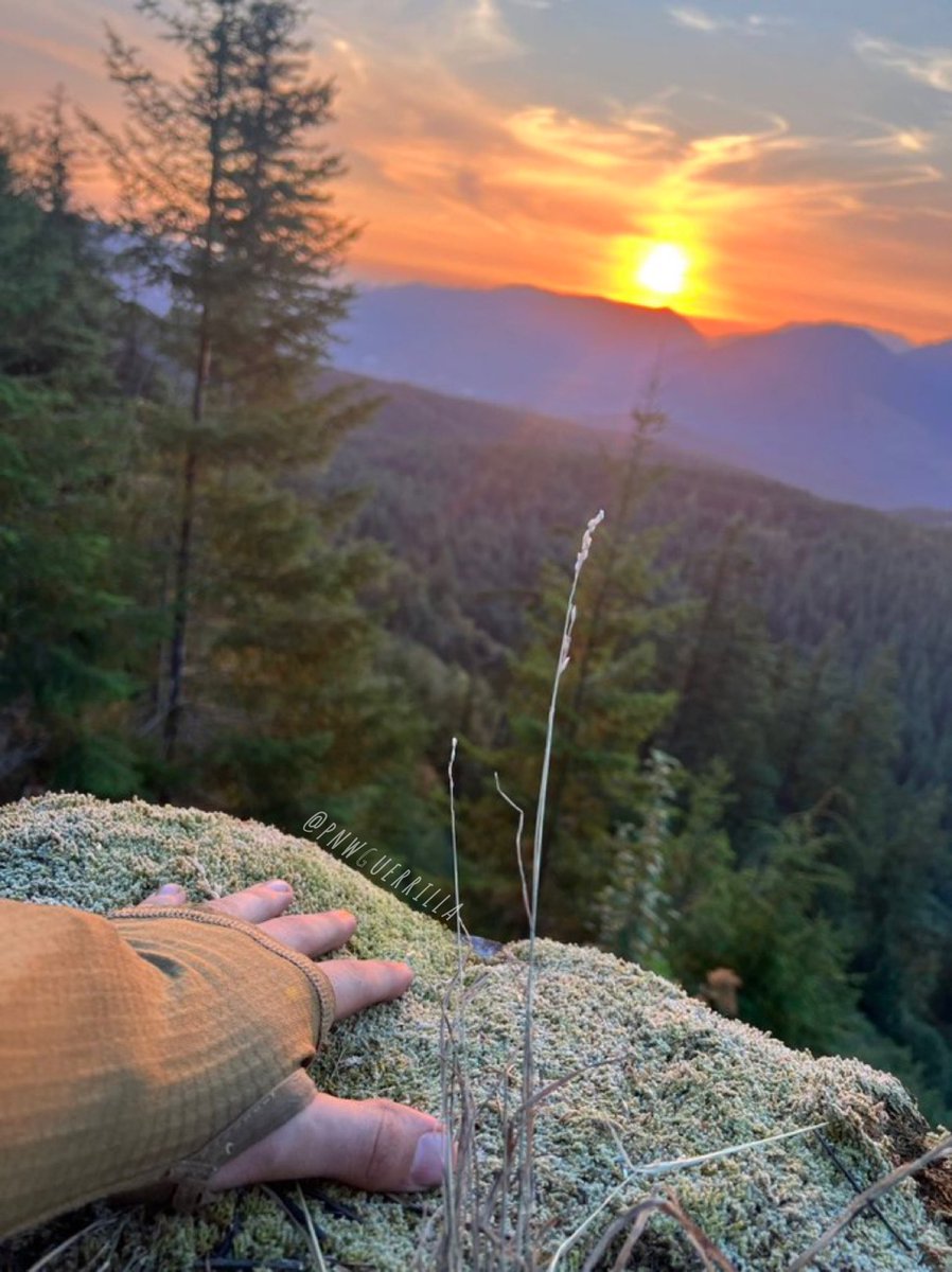 Goodmorning 

Touching moss > Touching grass

View of a random hill overlooking the morton pass, Washington state.