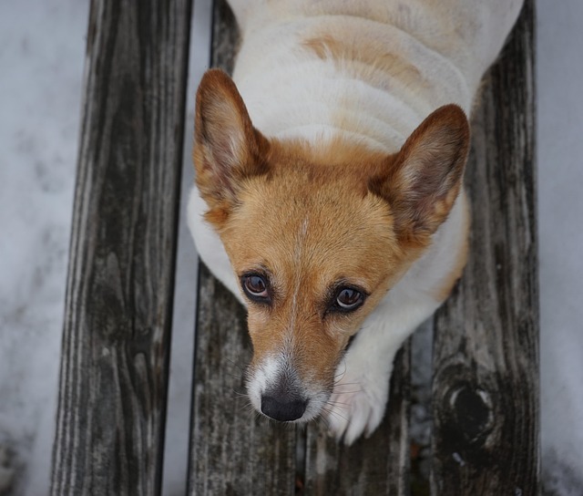 上岡正明@著書31冊×10億投資家×登録者58万人YouTuber@Zuhayb Edwards tweet media