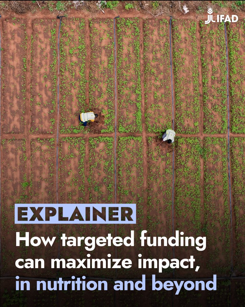 International Fund for Agricultural Development tweet media