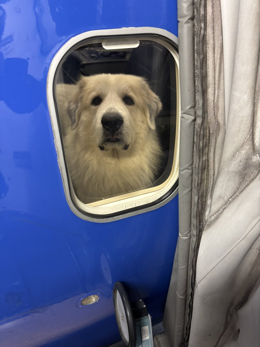 Mike Steward tweet media