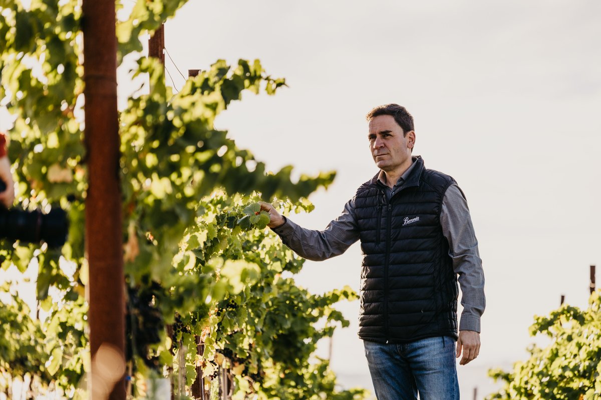 Bodeboca tweet media