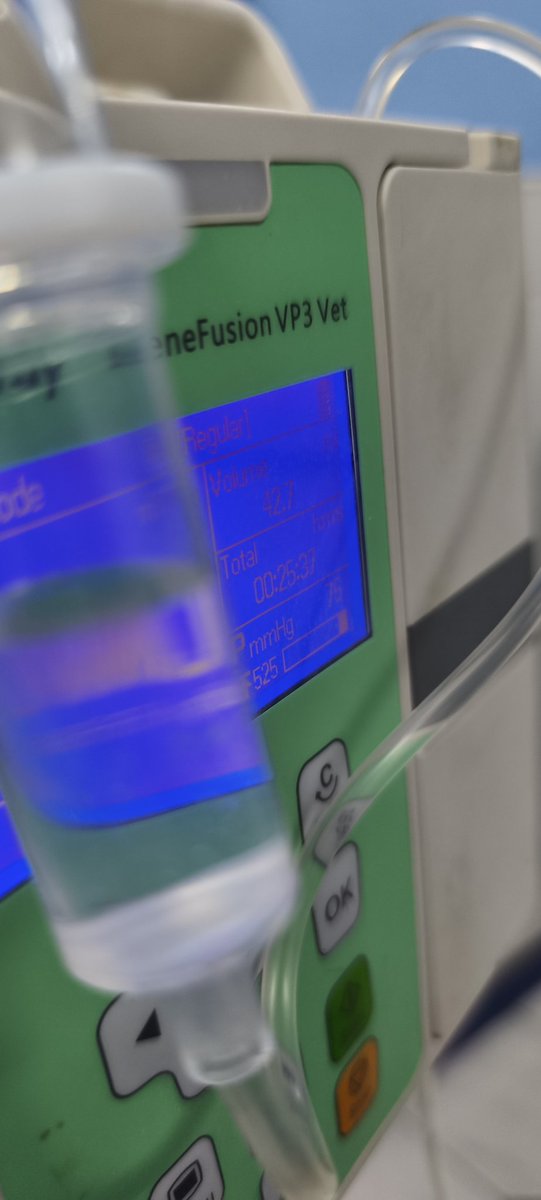 Aqui andamos....🐶