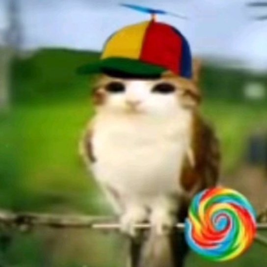 angelia ⚗️ tweet media