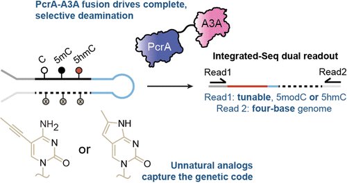 Kohli Lab tweet media