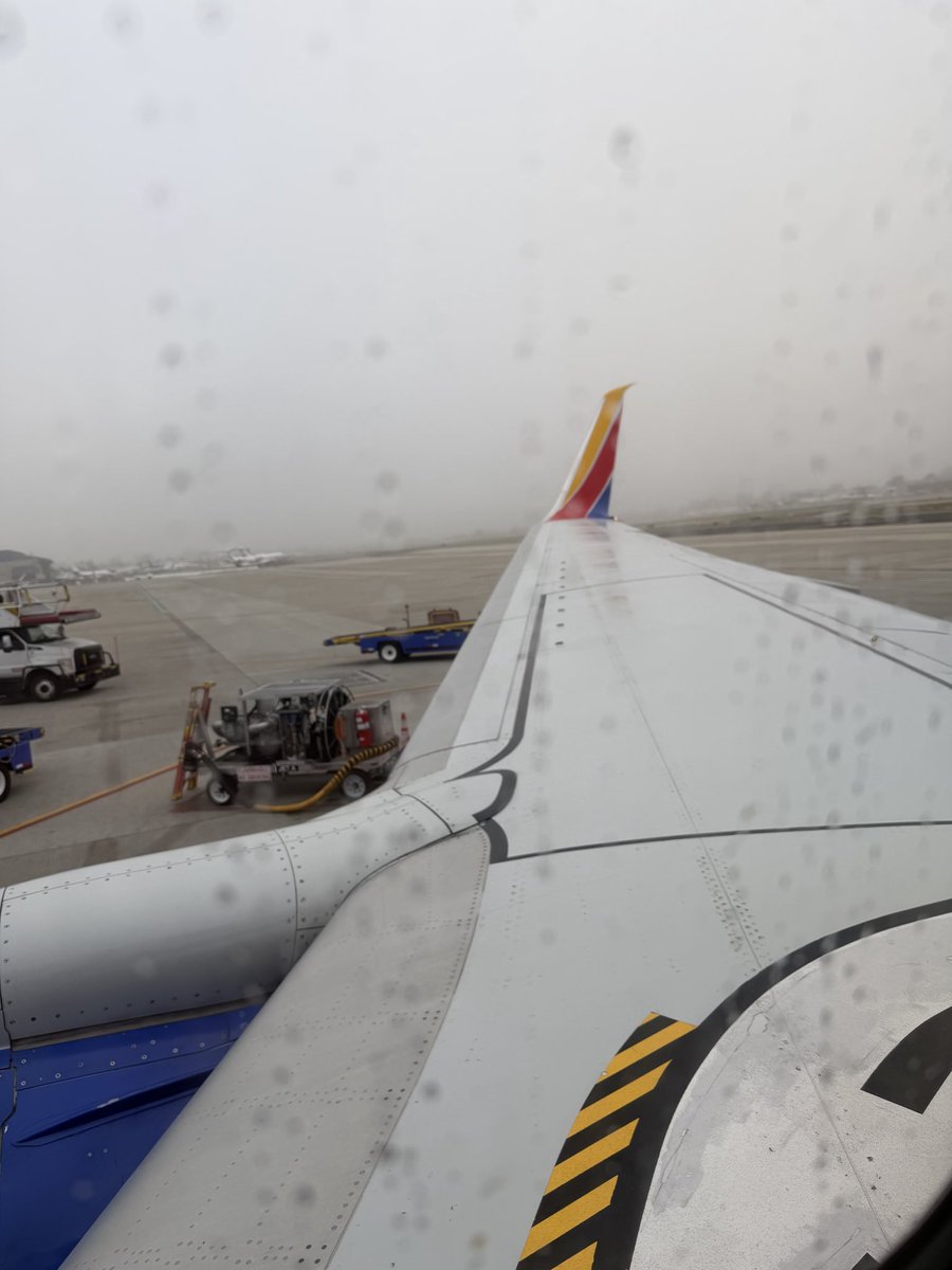 jacquie capur tweet media