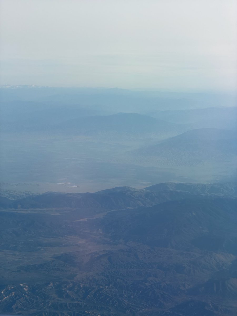 jacquie capur tweet media