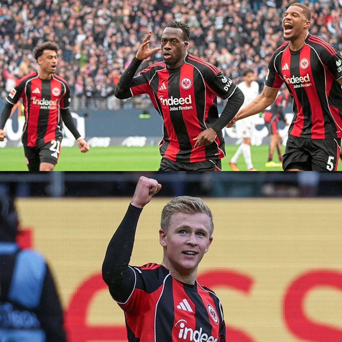 AdlerNews tweet media