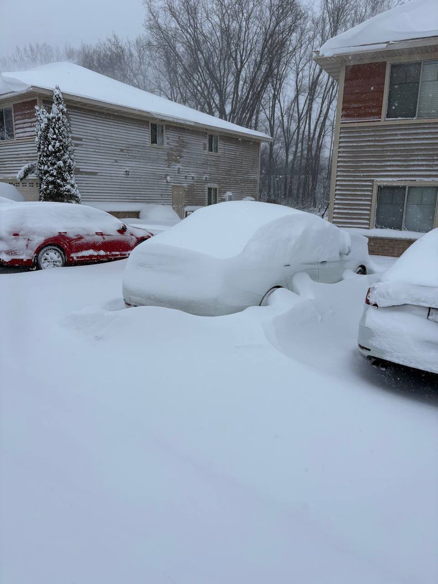 Dixon Wolfe tweet media