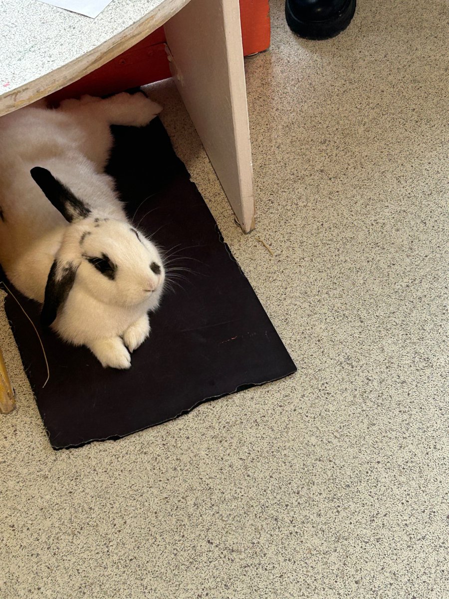 Carly Silver tweet media