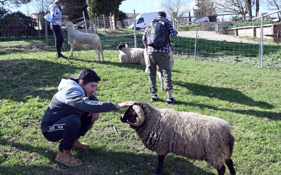 rimbert julie tweet media