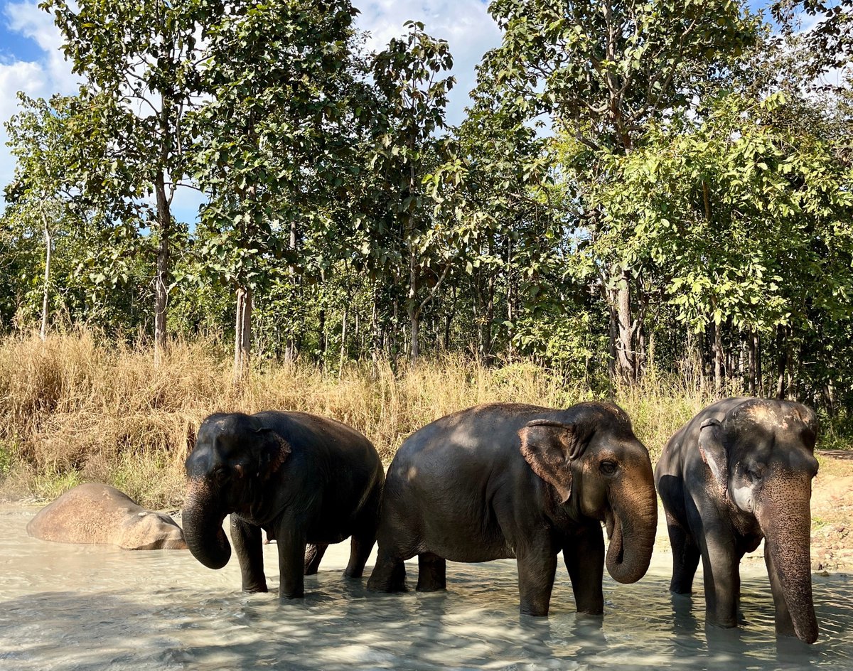 Network Aviation Group tweet media