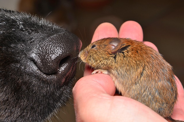 Simon Reddy tweet media