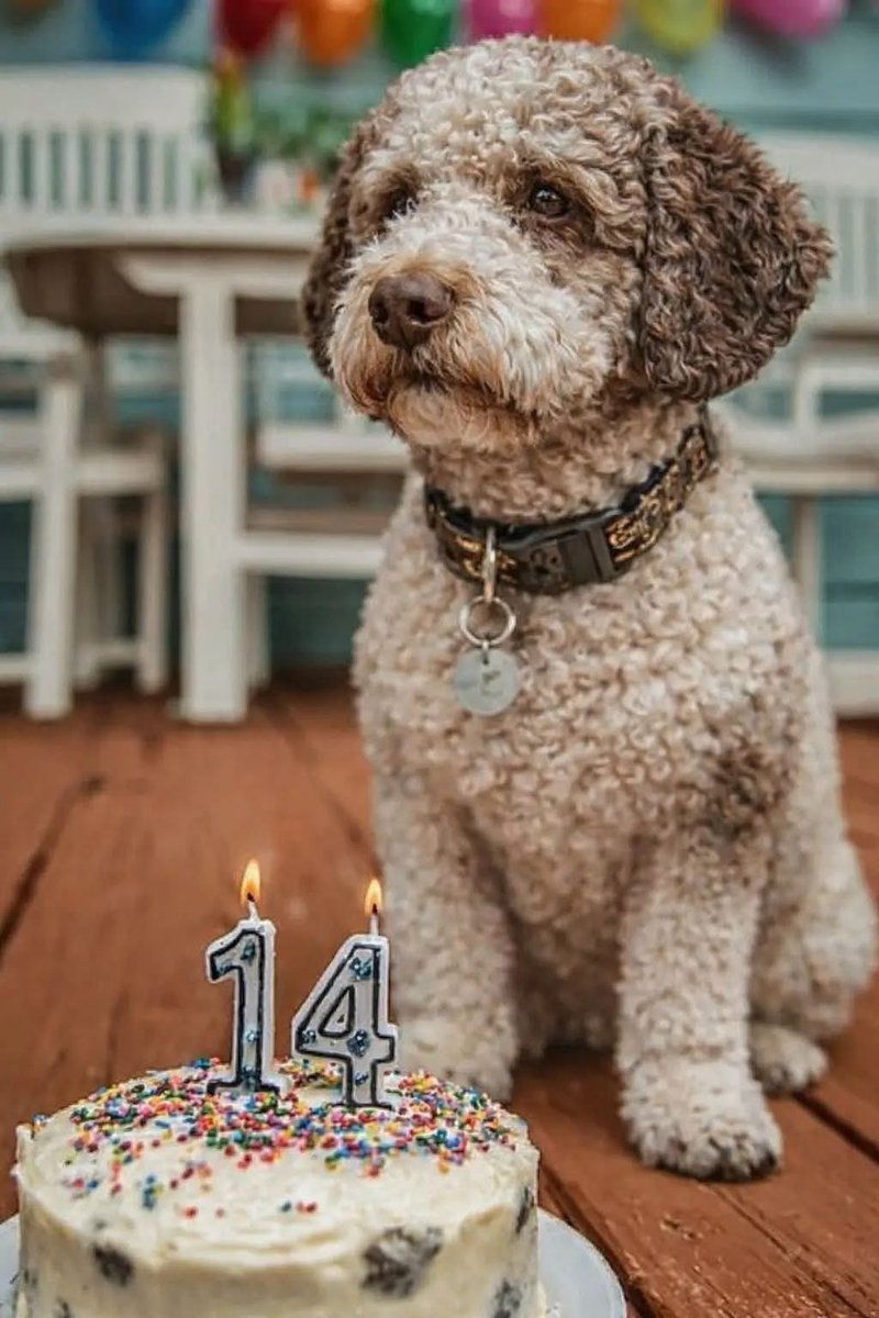 Araminta tweet media