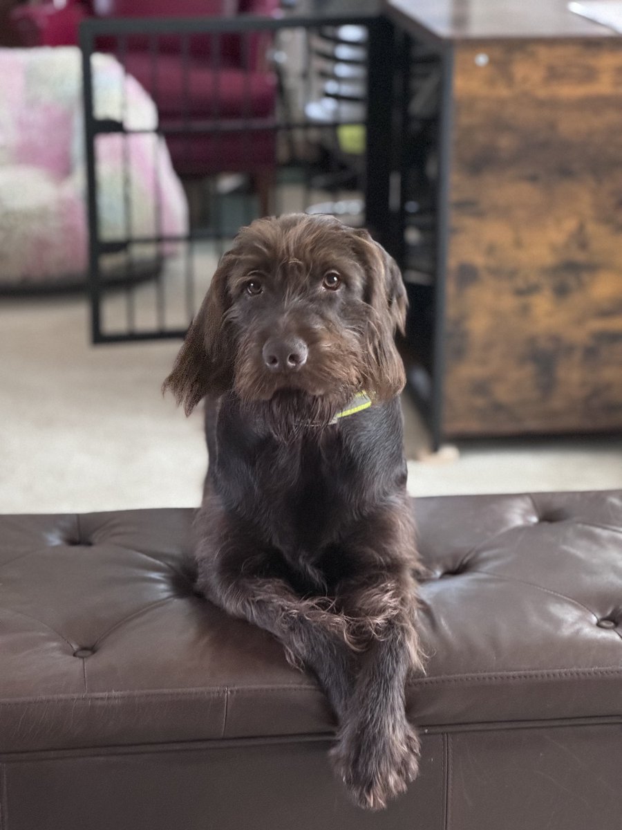 AJ Nunya tweet media