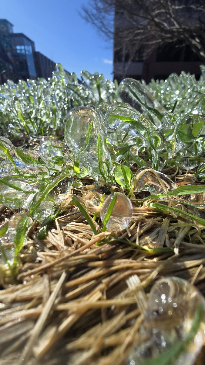 💎Jewel Ree Box tweet media