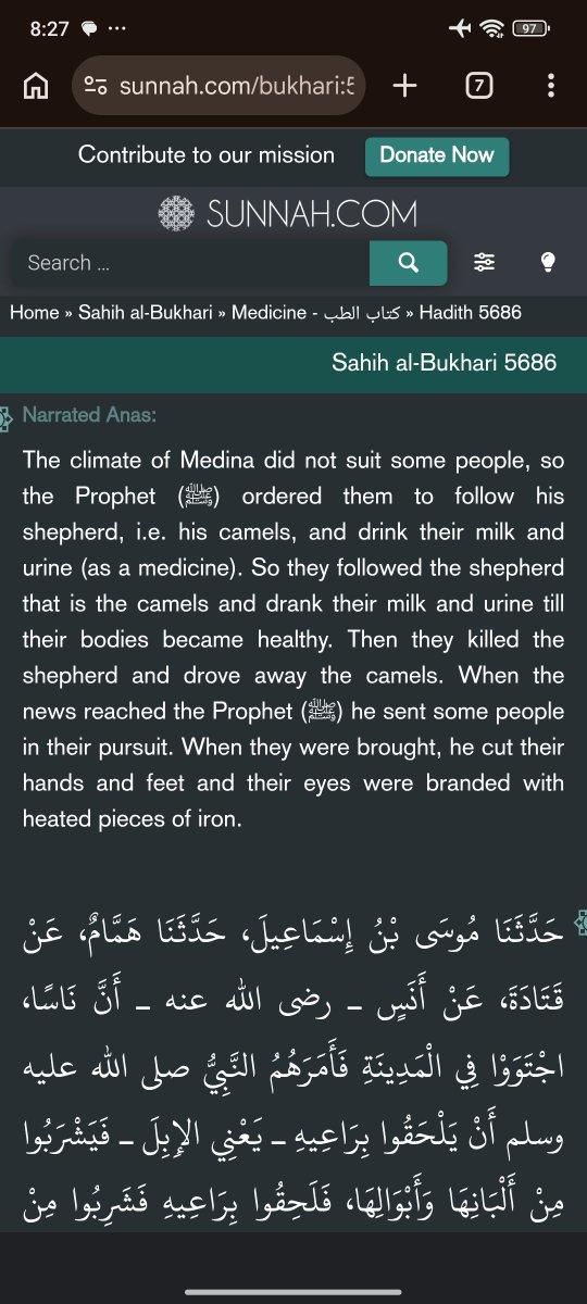 Bulldozer-Kun tweet media