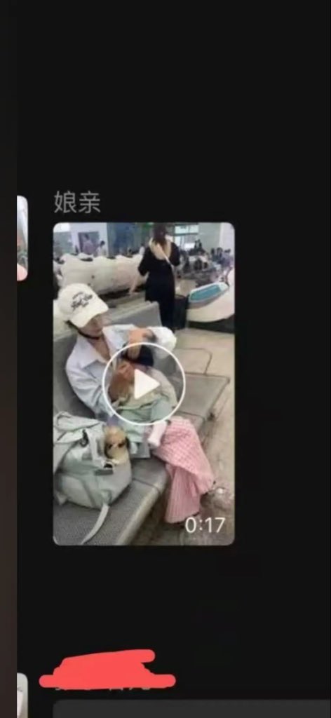 脆冰冰 tweet media