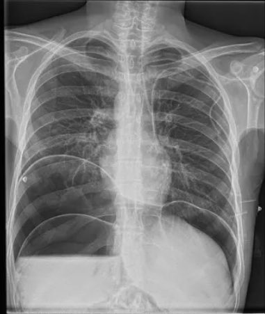 Ximena Chavarria tweet media