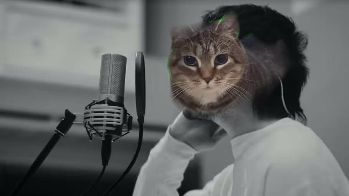 浪後も安泰 tweet media