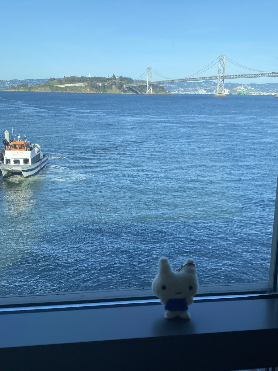 echo4eva tweet media