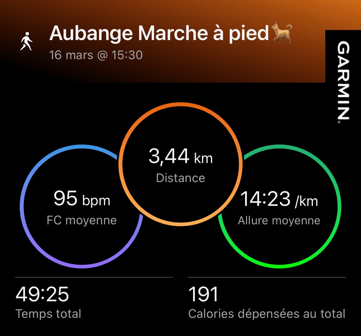 Didier FLECHE 🇧🇪🏊‍♂️🚴‍♂️🏃🏻‍♂️ tweet media