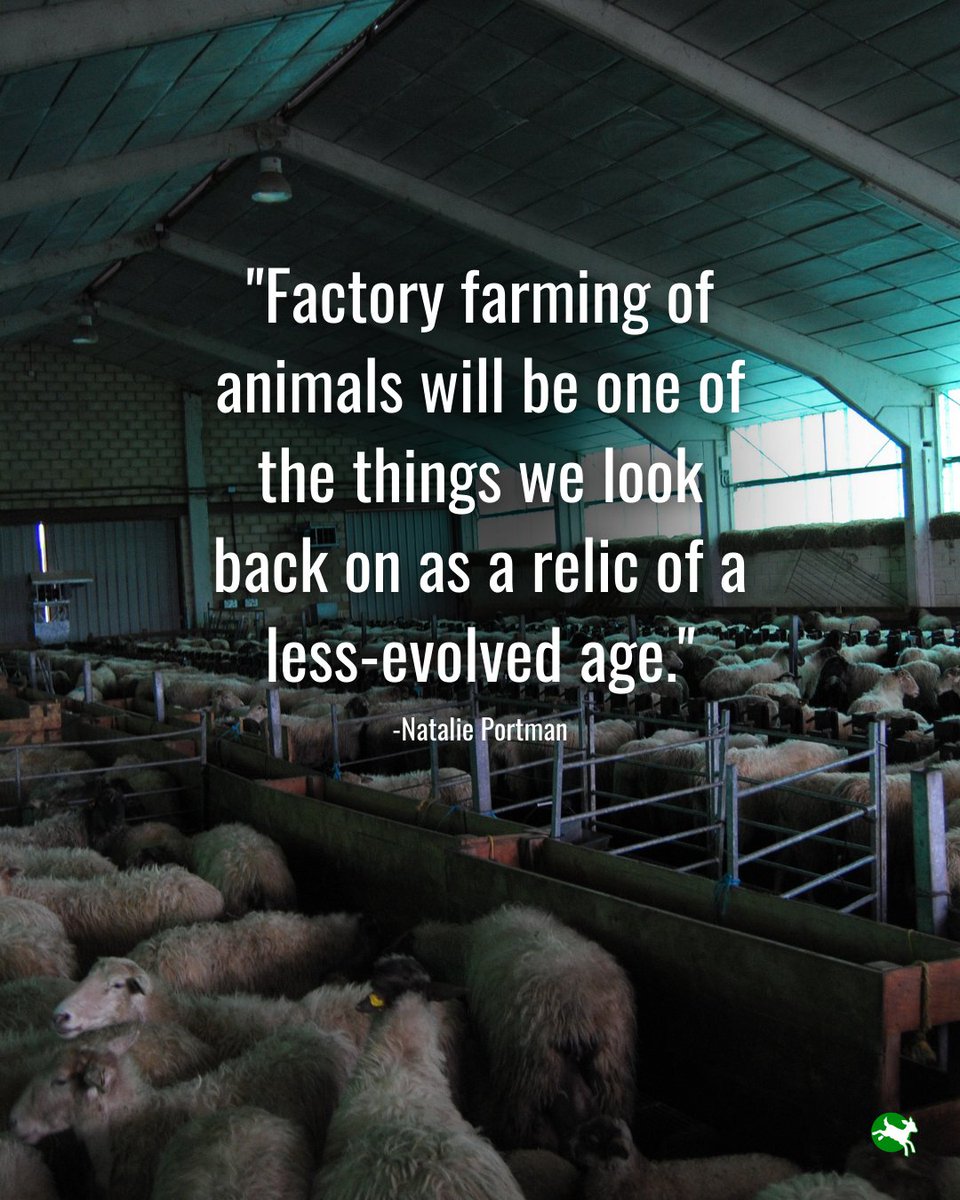 Compassion in World Farming US tweet media