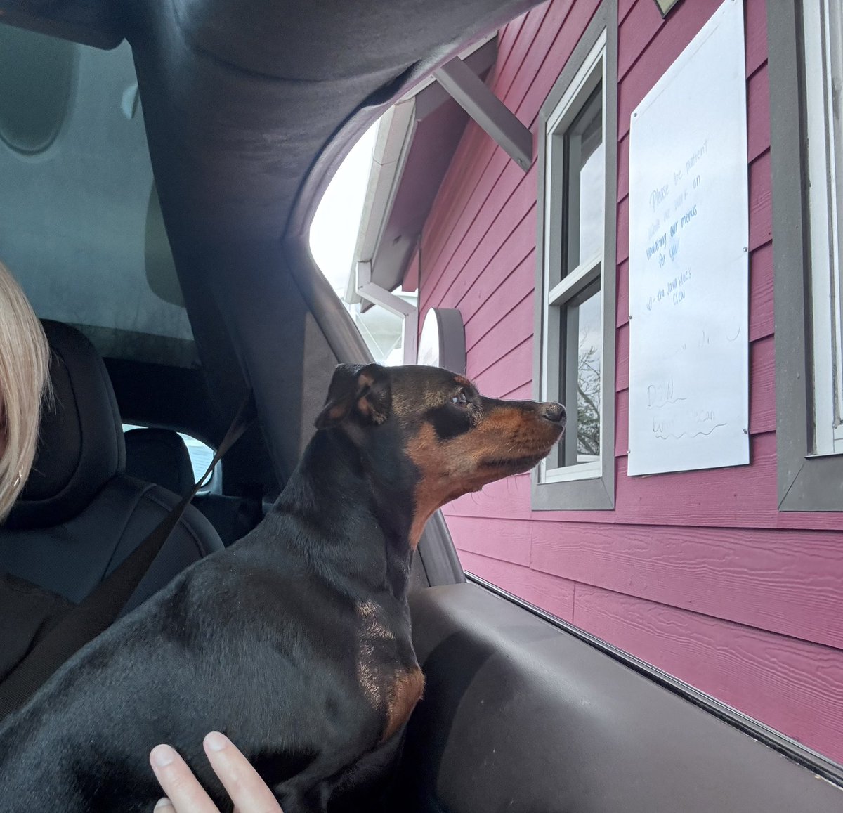 Amanda Hazel tweet media