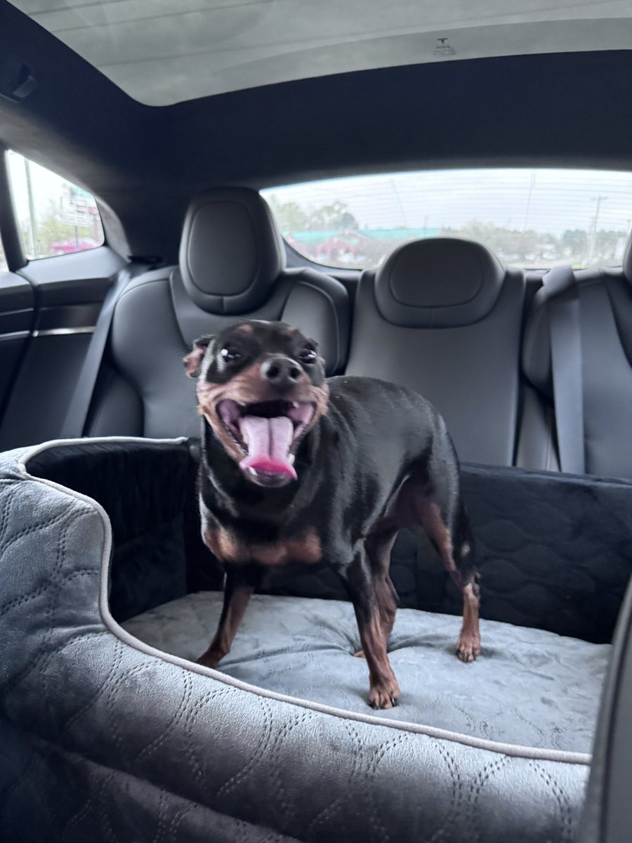 Amanda Hazel tweet media