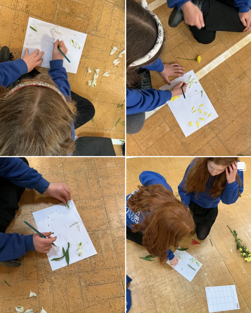 Shelley First School tweet media